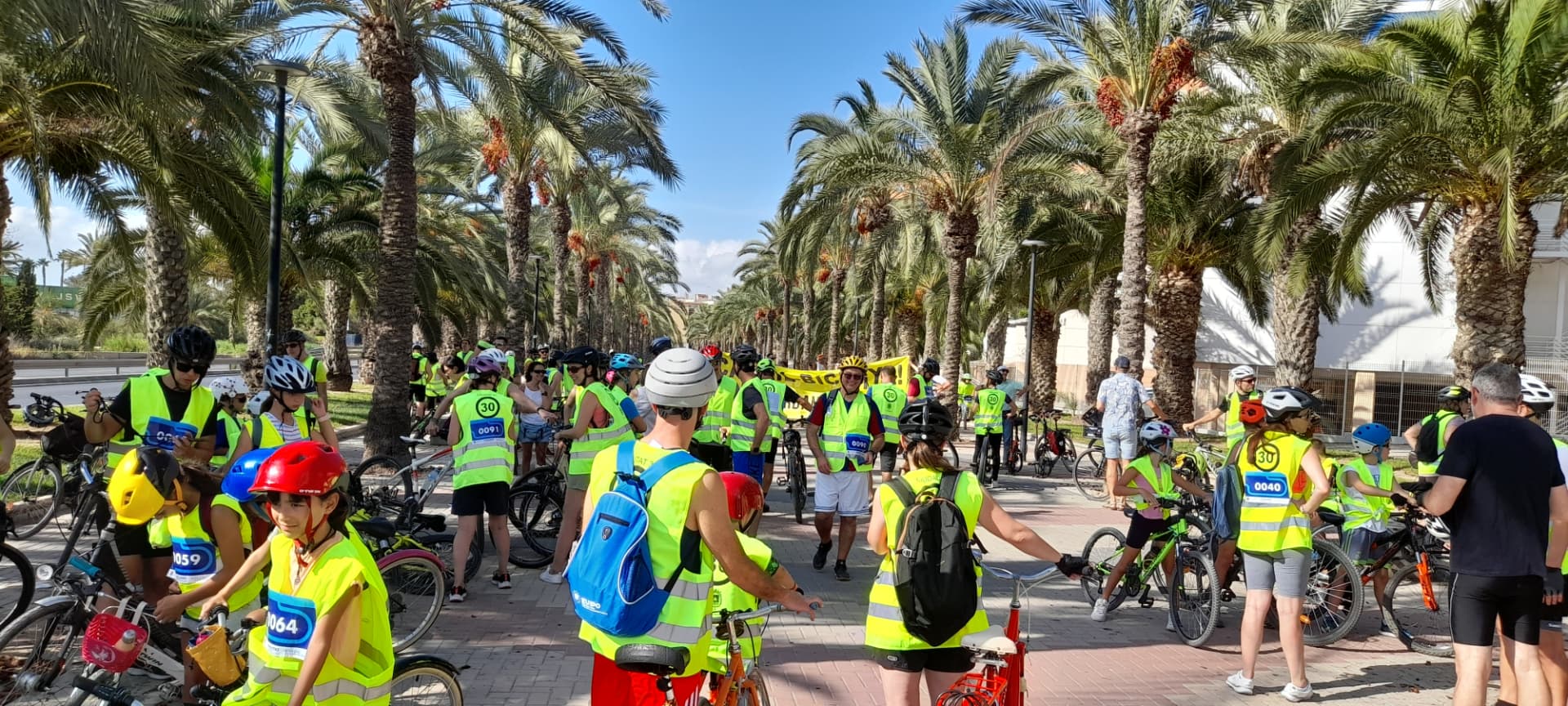 Participantes en la Marcha Ciclista A La Almadraba en bici por el paseo de palmeras